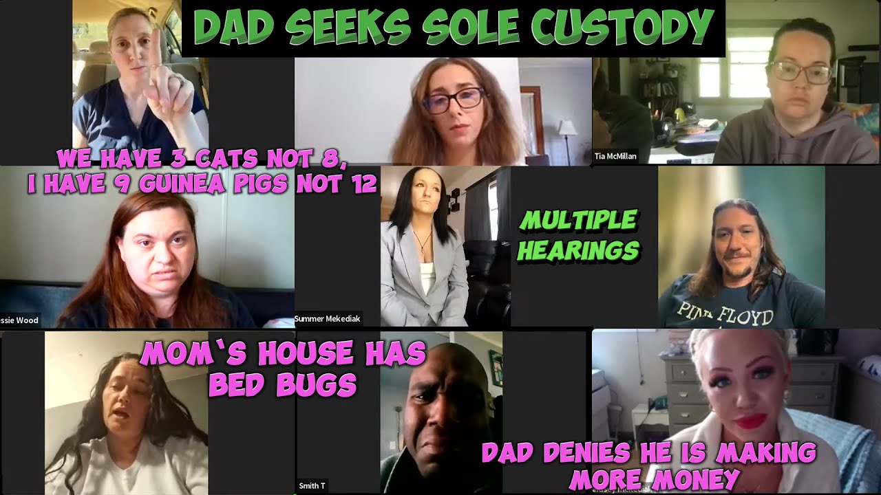 The Minor Child Expressed Concerns About Going to Mom's House | Dad Seeks Sole Custody