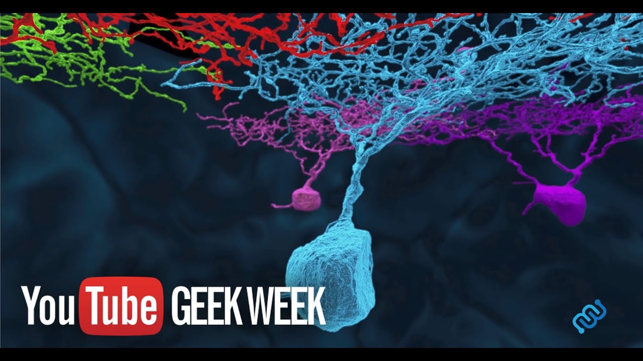 EyeWire, A Game to Map the Brain from MIT