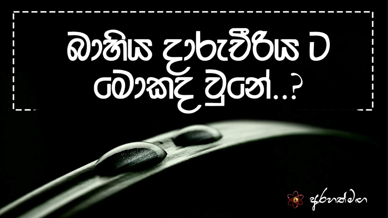 නිවැරදි ධර්ම මාර්ගය බුද්ධියෙන් දකින්න.