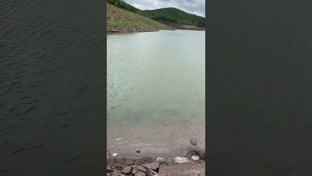 Eğrekkaya barajı trofe sazan (nostalji)