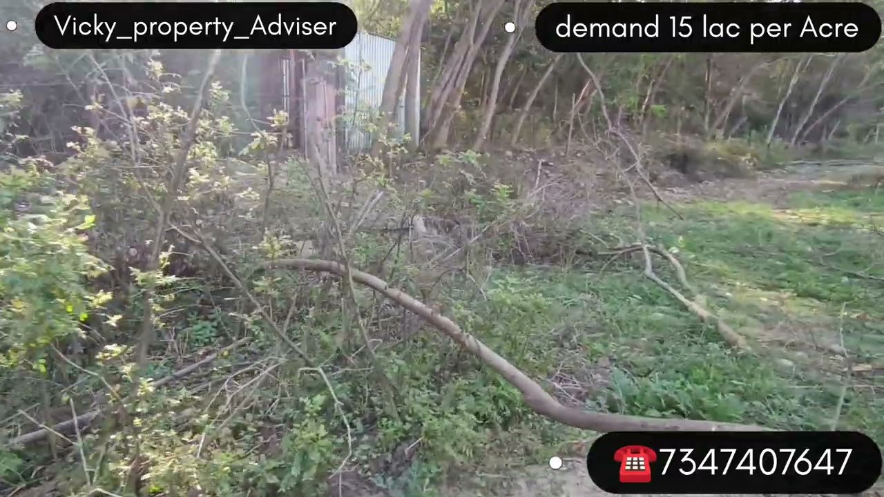 40 Acre land for sale 
