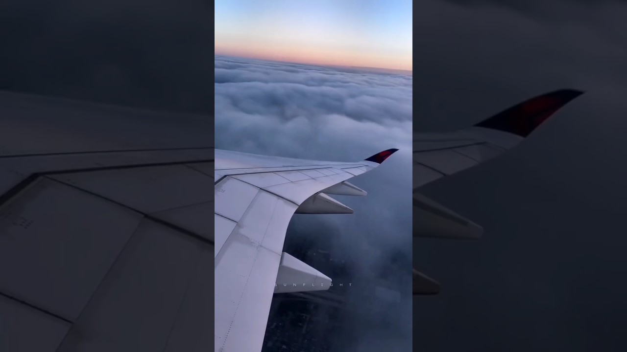 Aviation 🤩✈️ 