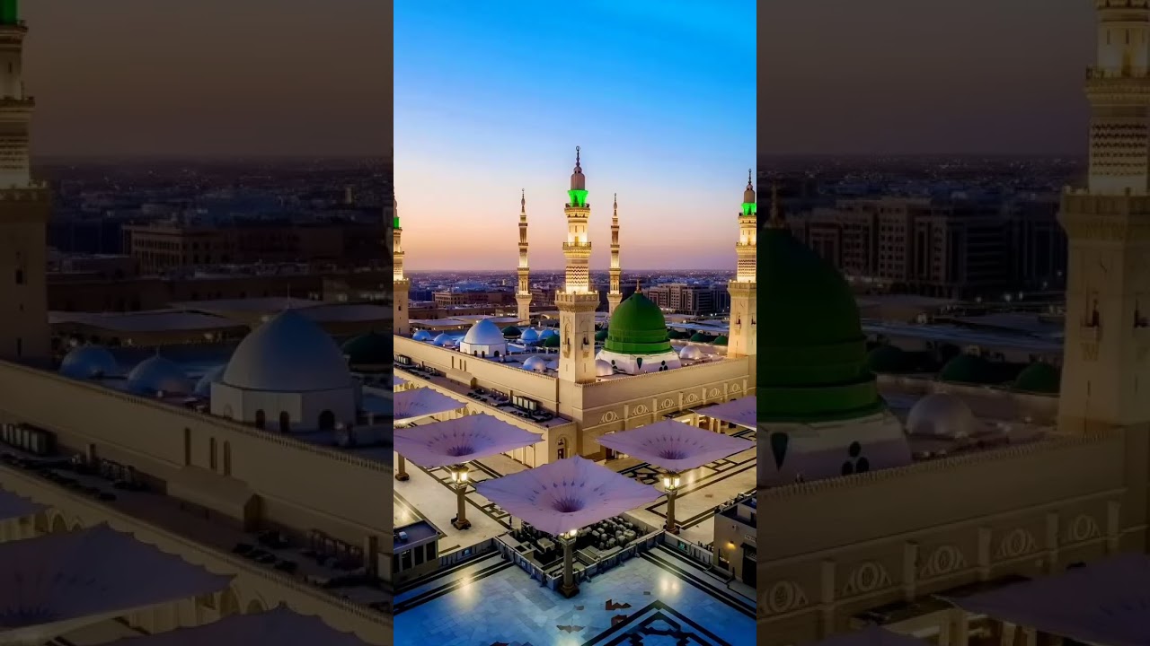 Peace through Islam👍👍👍👍👍👍👍👍👍👍