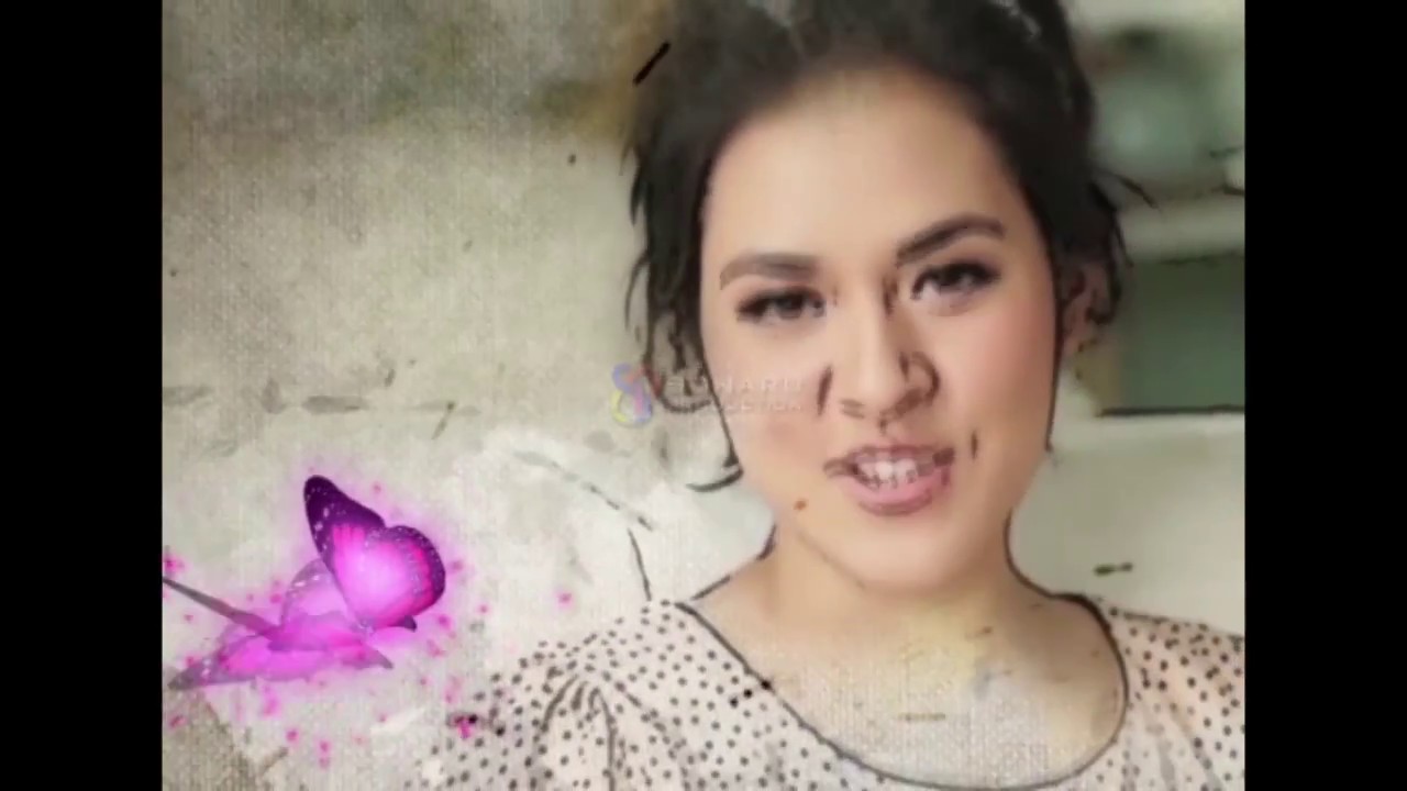 bumper raisa