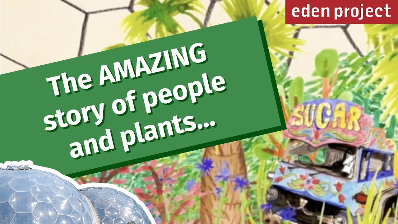 Animated story of the Eden Project: A Living Theatre of Plants and People