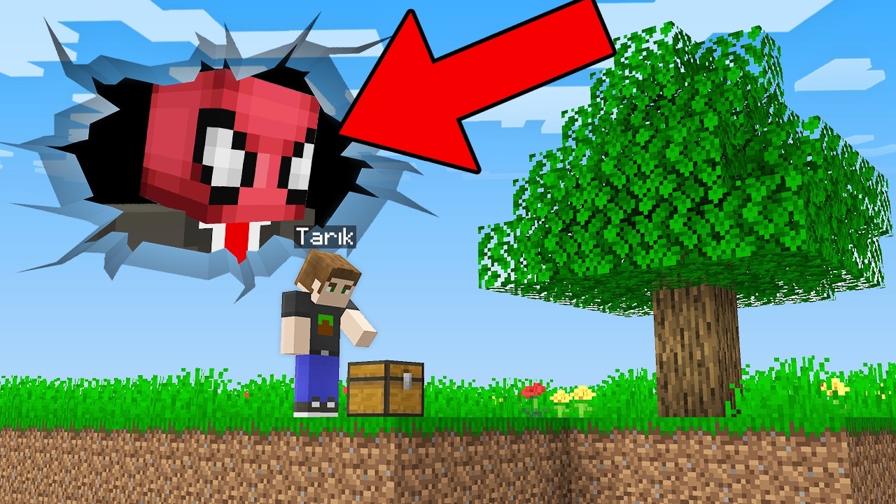 NASIL Arkadaşımı SİMÜLASYONA Hapsettim? - Minecraft
