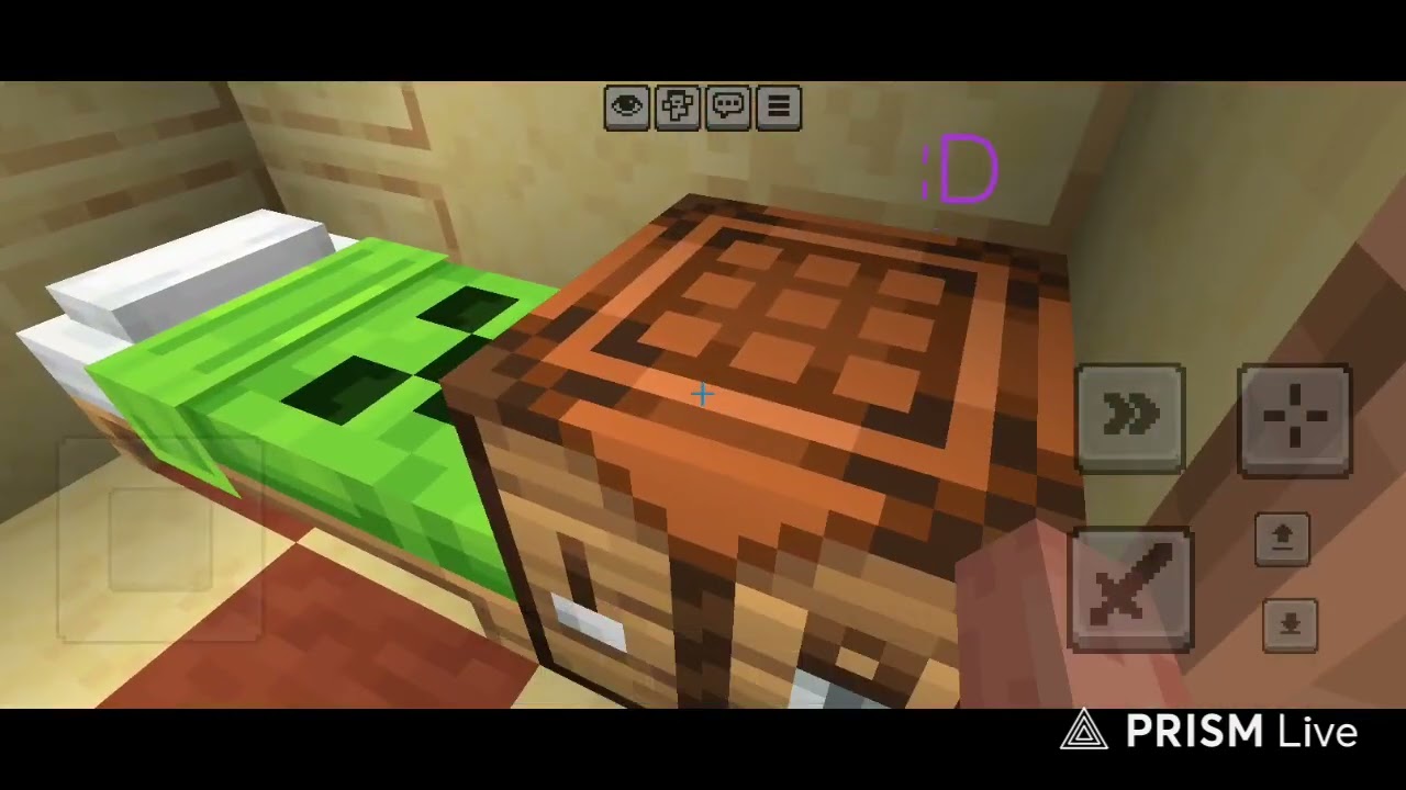 Minecraft Survival video 1.