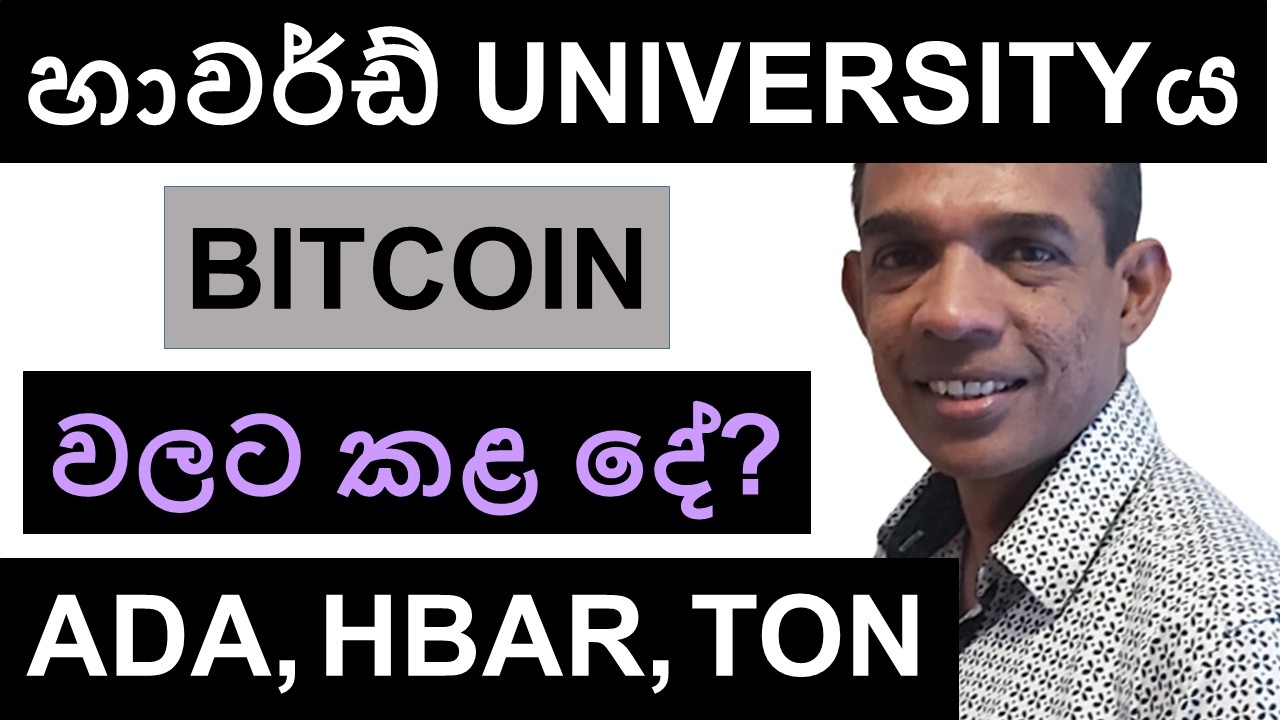 හාවර්ඩ් UNIVERSITYය BITCOIN වලට කළ දේ? | ADA, HBAR, XRP, NOT AND TON | BITCOIN