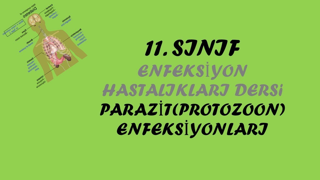 Enfeksiyon Hastalıkları Dersi 11.Sınıf Protozoon (Parazit) Enfeksiyonları 1