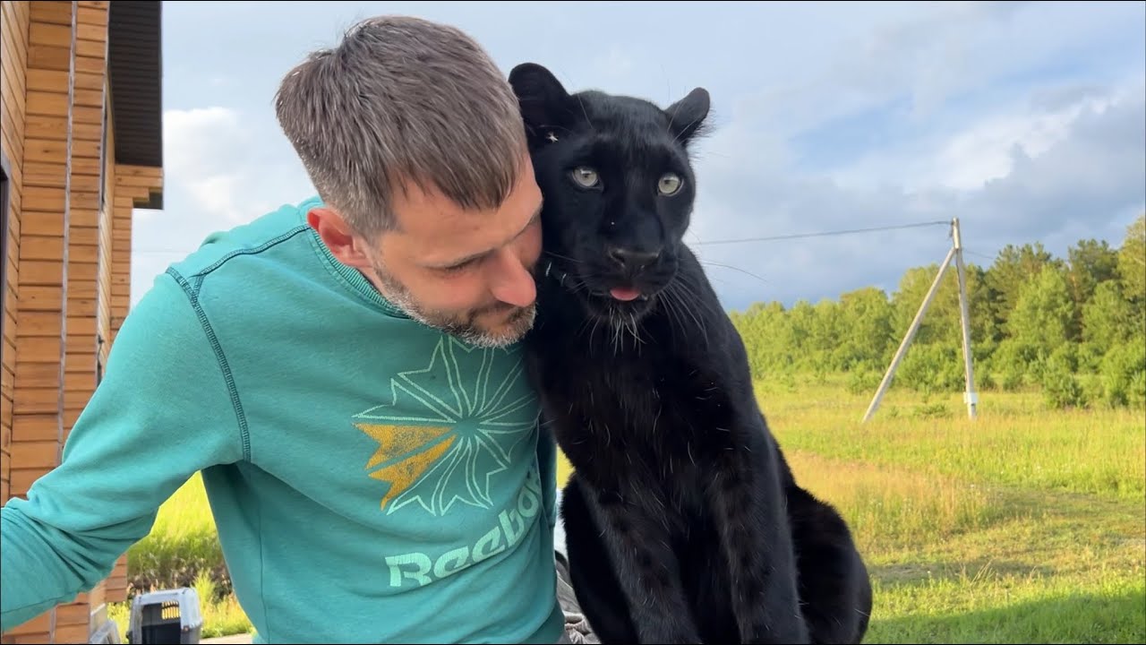 Празднуем день рождения Вовы с пантерой Луной 😸
