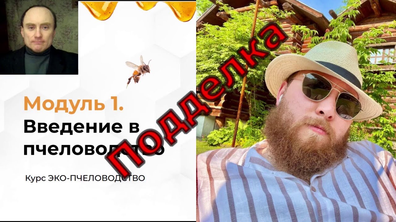 Как Иван Халилов резал пчелиную правду-матку,  разбор Курса,  1 часть