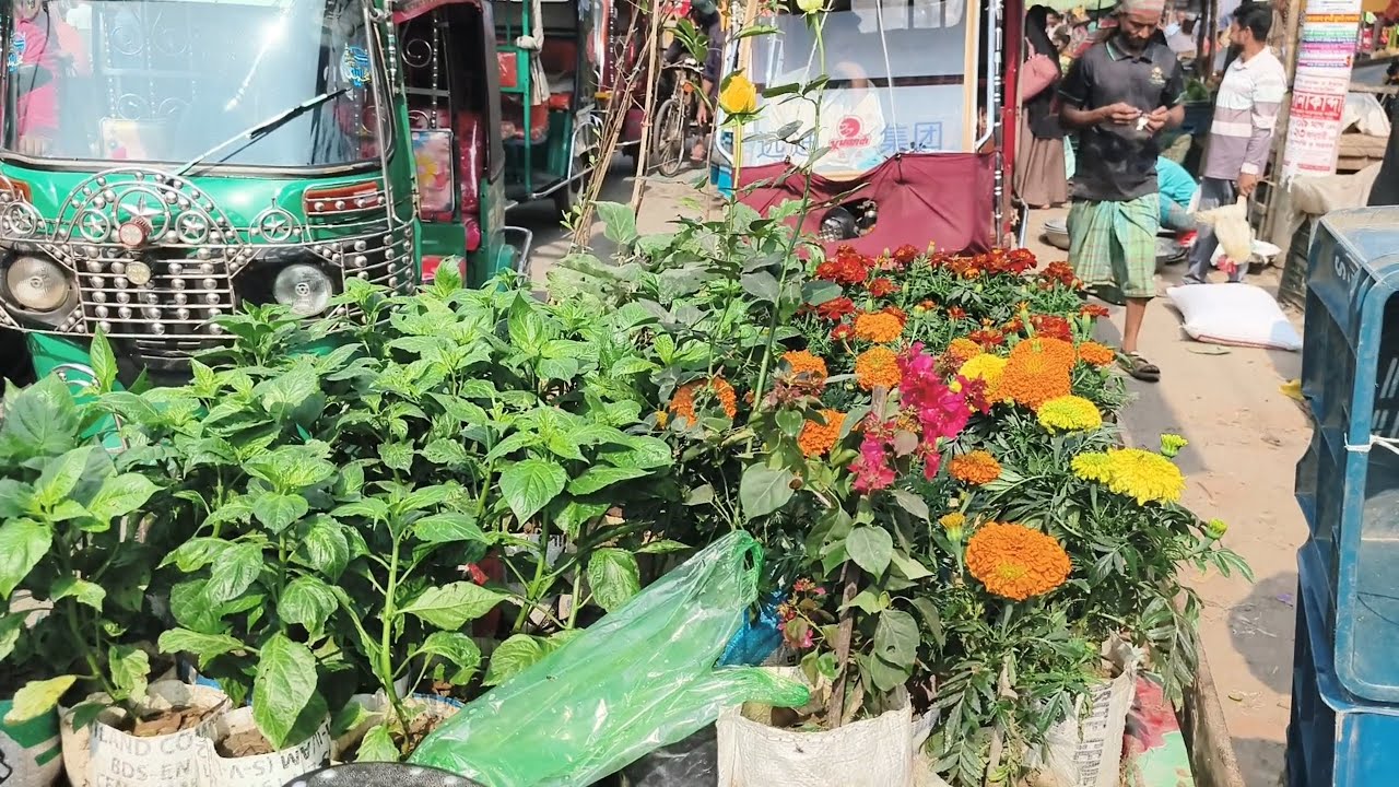 গ্রামের বাজার গুলি কি রকম হয়ে থাকে চলেন দেখে আসি এক নজরে | family lifestyle vlog 