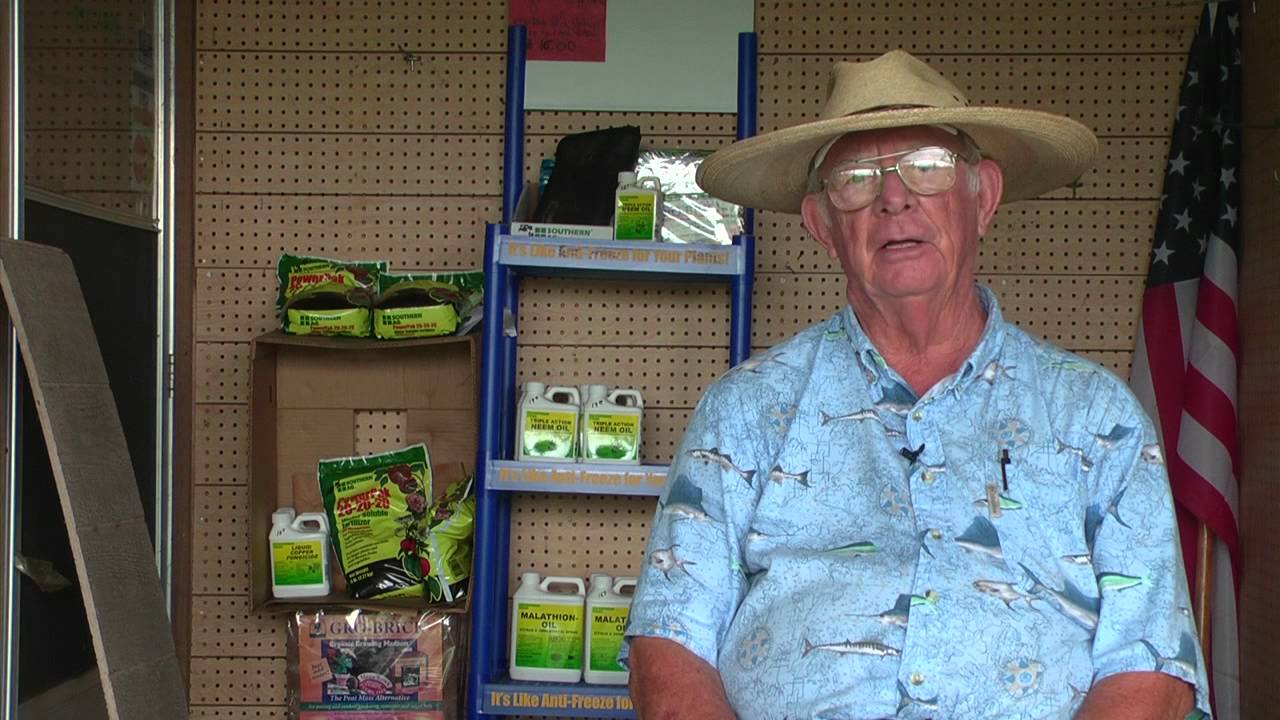 How to Fertilize Fruit Trees