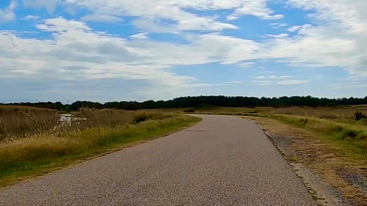 Chincoteague Assateague Bike Ride around Wildlife Loop! Chincoteague Island,  VA