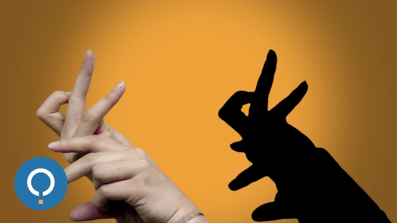 Comment faire des OMBRES CHINOISES  d'animaux avec les mains