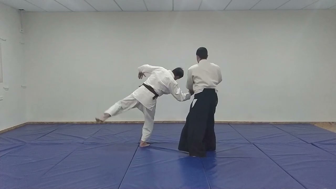 Aikido Basic Techniques: Kosa dori - Kote gaeshi