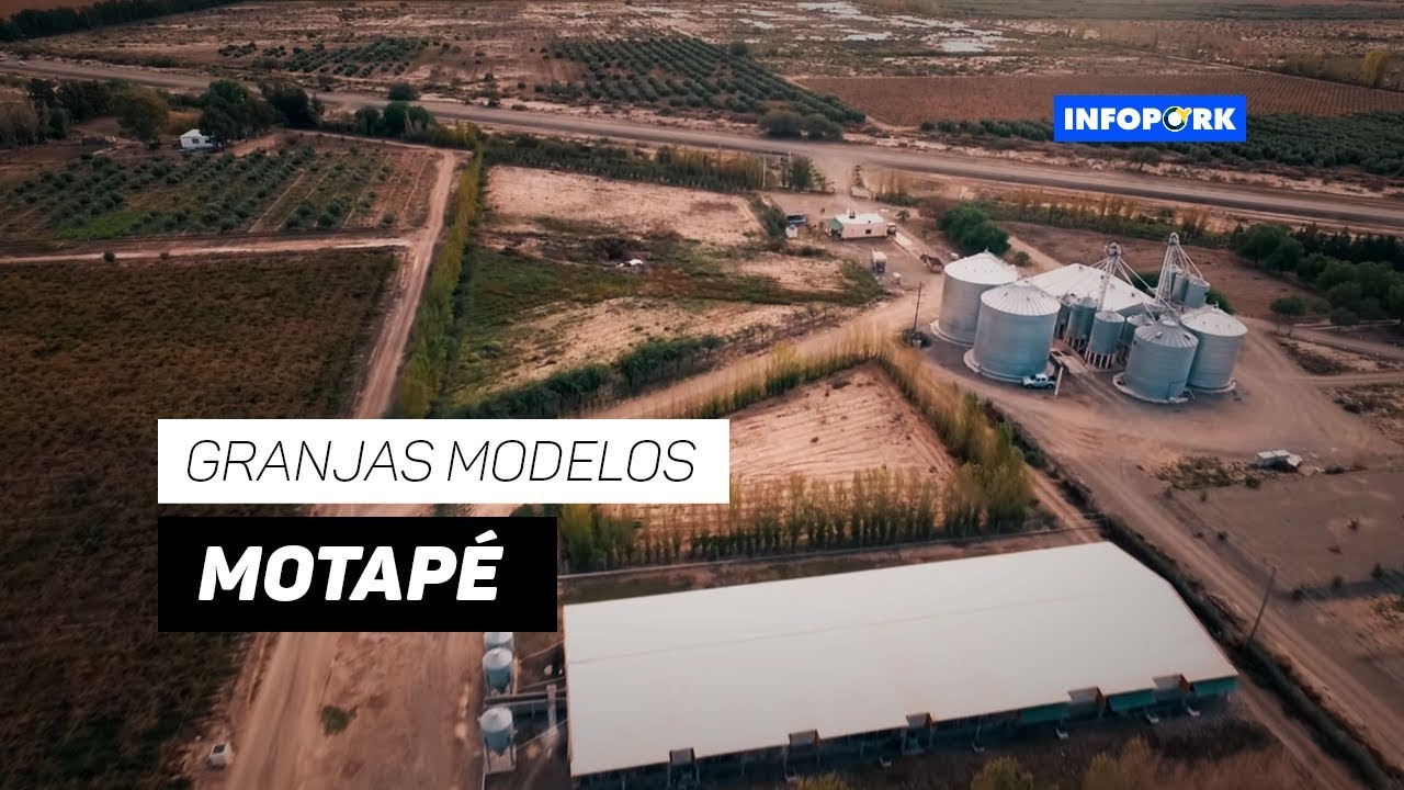 Infopork Granjas Modelos - MOTAPÉ