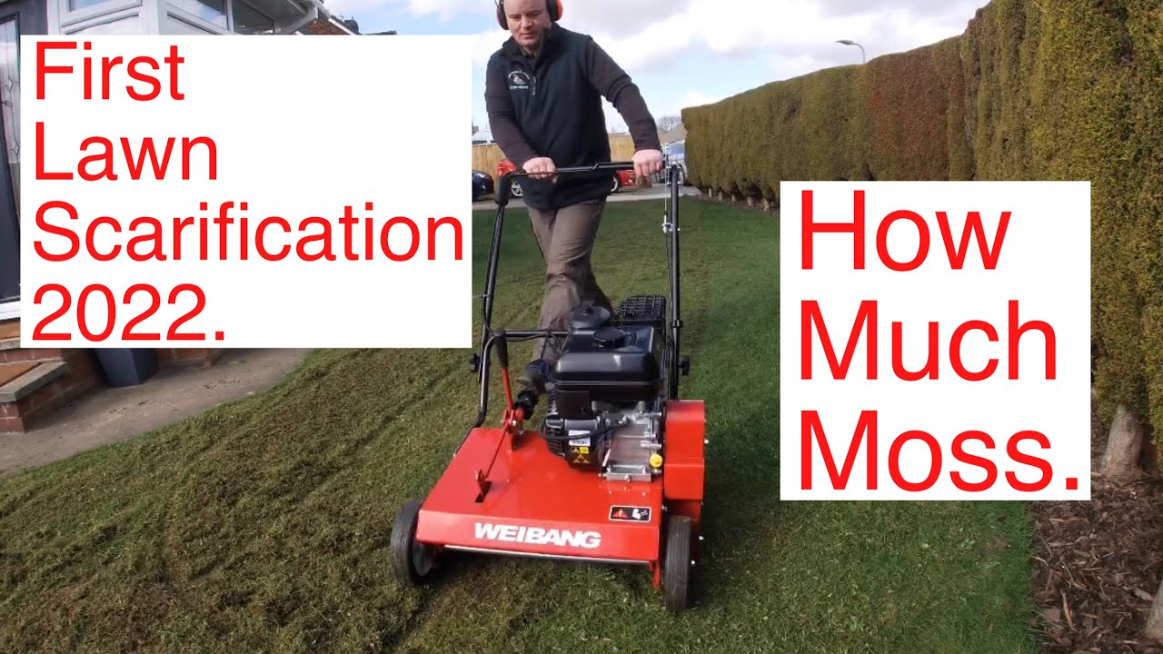 Lawn Scarification. Using the Weibang Intrepid 486 CRB Pro Petrol Scarifier. #garden #business