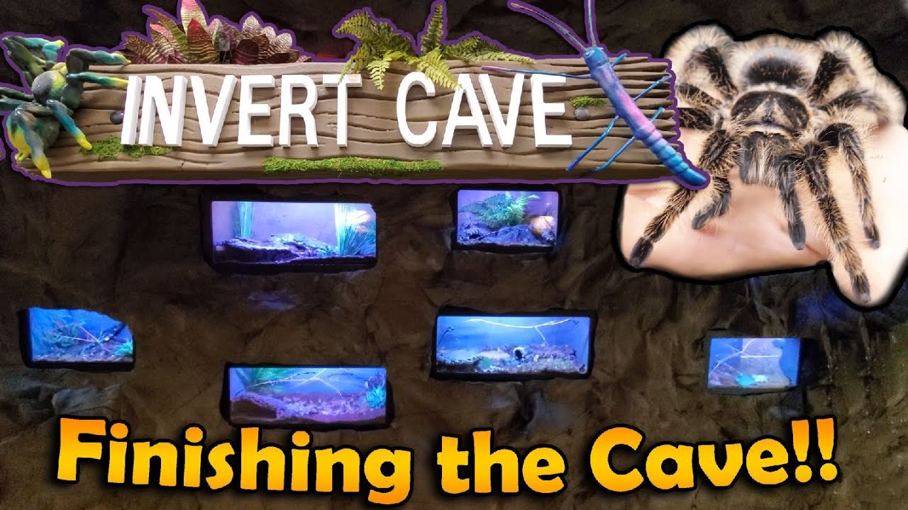 Moving the FIRST Animals into the Zoo!