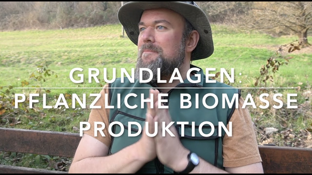 DIE Superpflanze gibt es nicht - Biomasse Produktion
