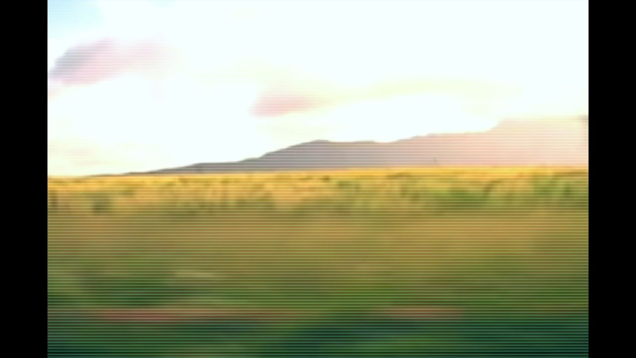 Hama Grown - Windward Skies