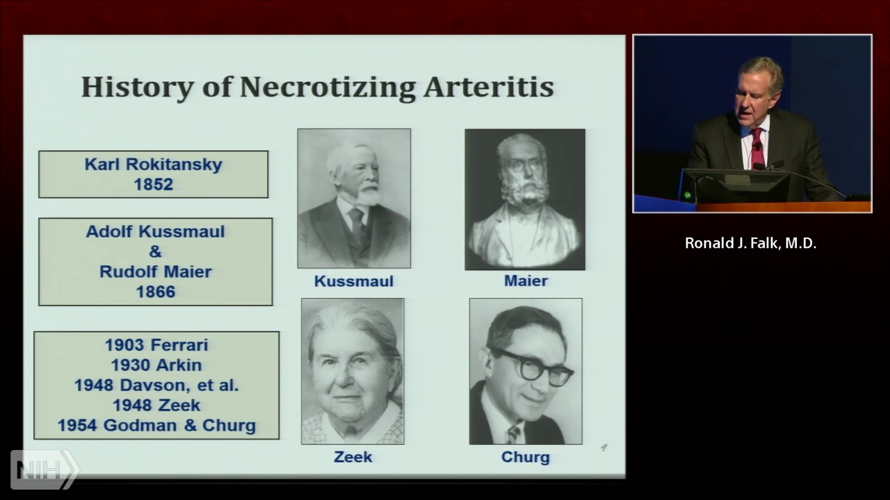 Perspective on autoimmunity: a view from the ANCA vasculitis looking glass