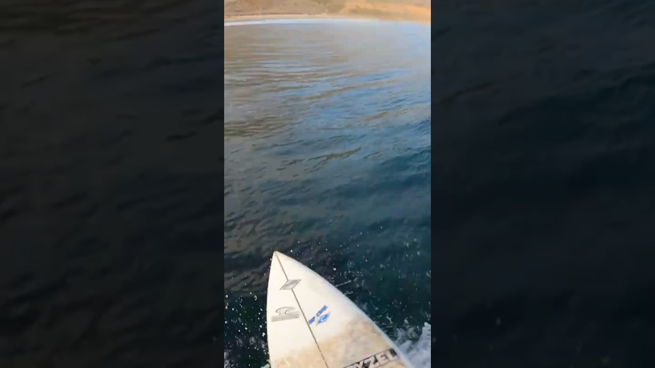 Surfing Leo Carrillo! (RAW POV) (Part 4) #californiasurf #povsurfing #surfing #surf #leocarrillo