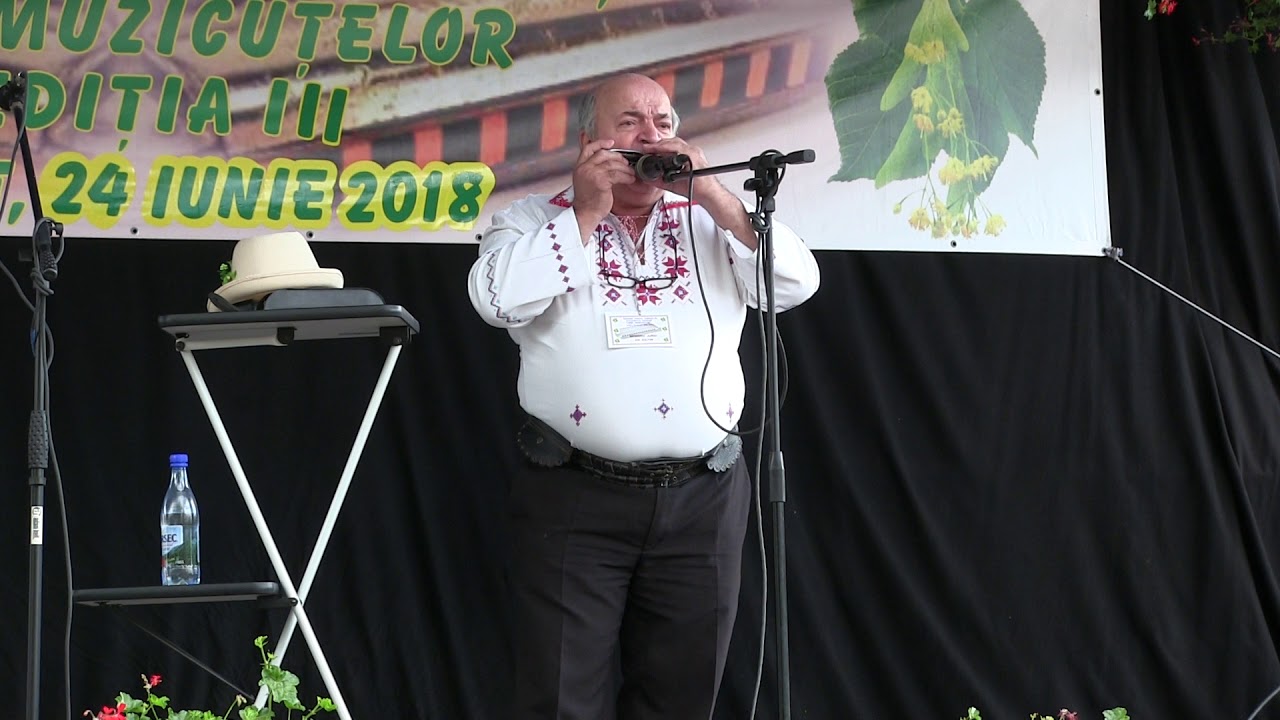 Lipovat - 24 iunie 2018 Festivalul HORA MUZICUTELOR, ediția a III - a  VIDEO  Ion  Solyom