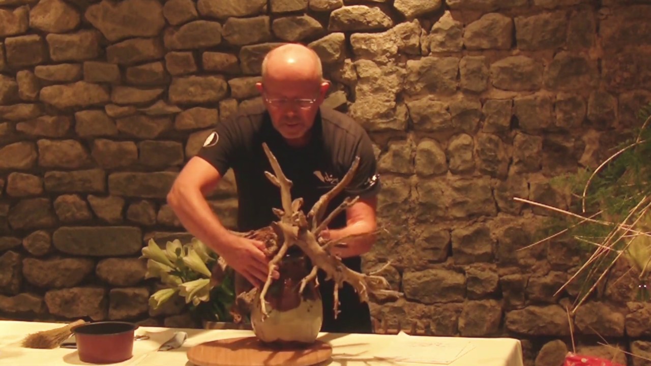 August 2018 Ichiyo Ikebana Demonstrations during the ERC 2018 in Bruges