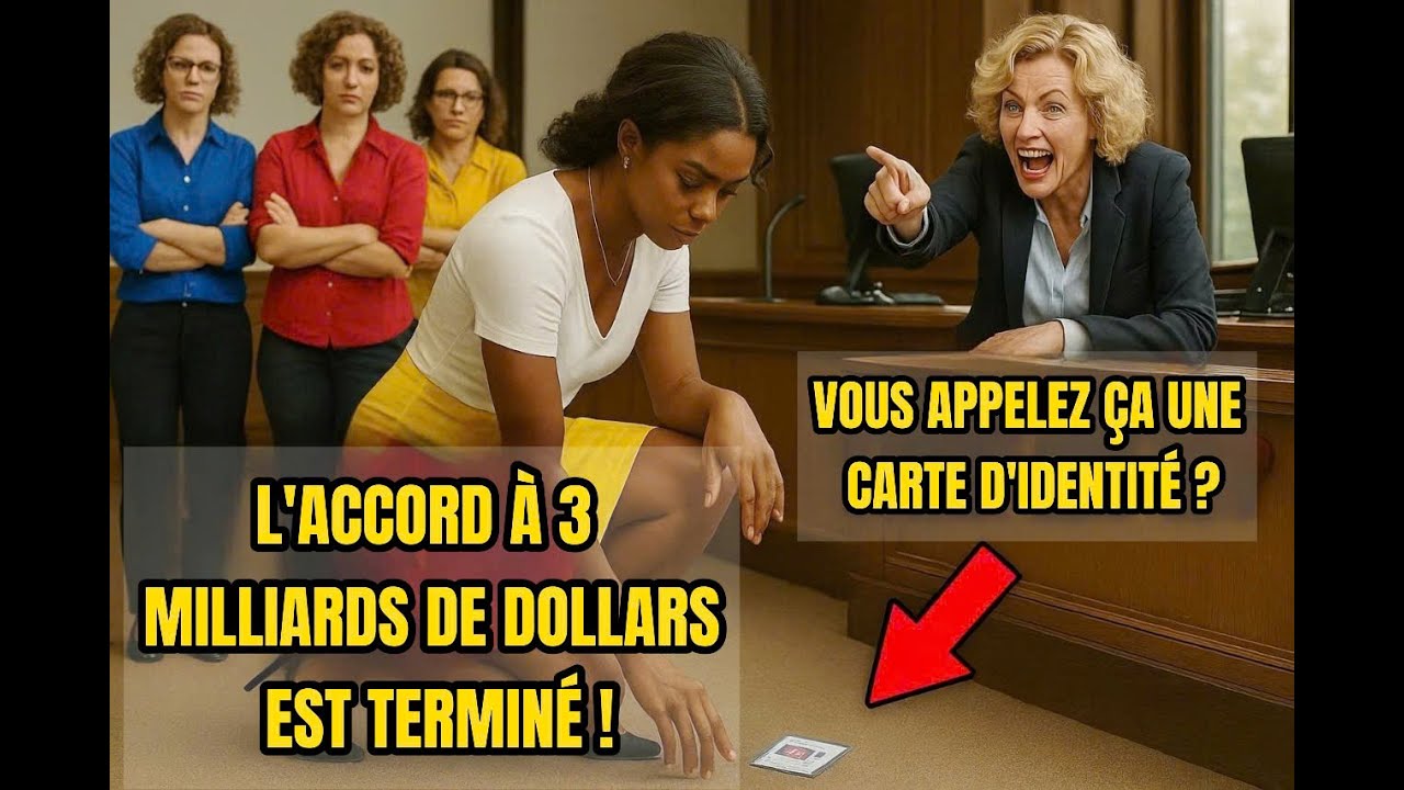 Un banquier jette la pièce d’identité d’un PDG noir… et perd un contrat de 3 milliards