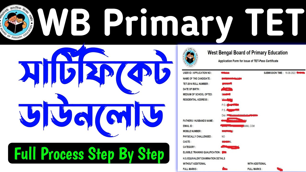 Primary TET certificate download process || primary TET qualified certificate/ tet certificate 2014