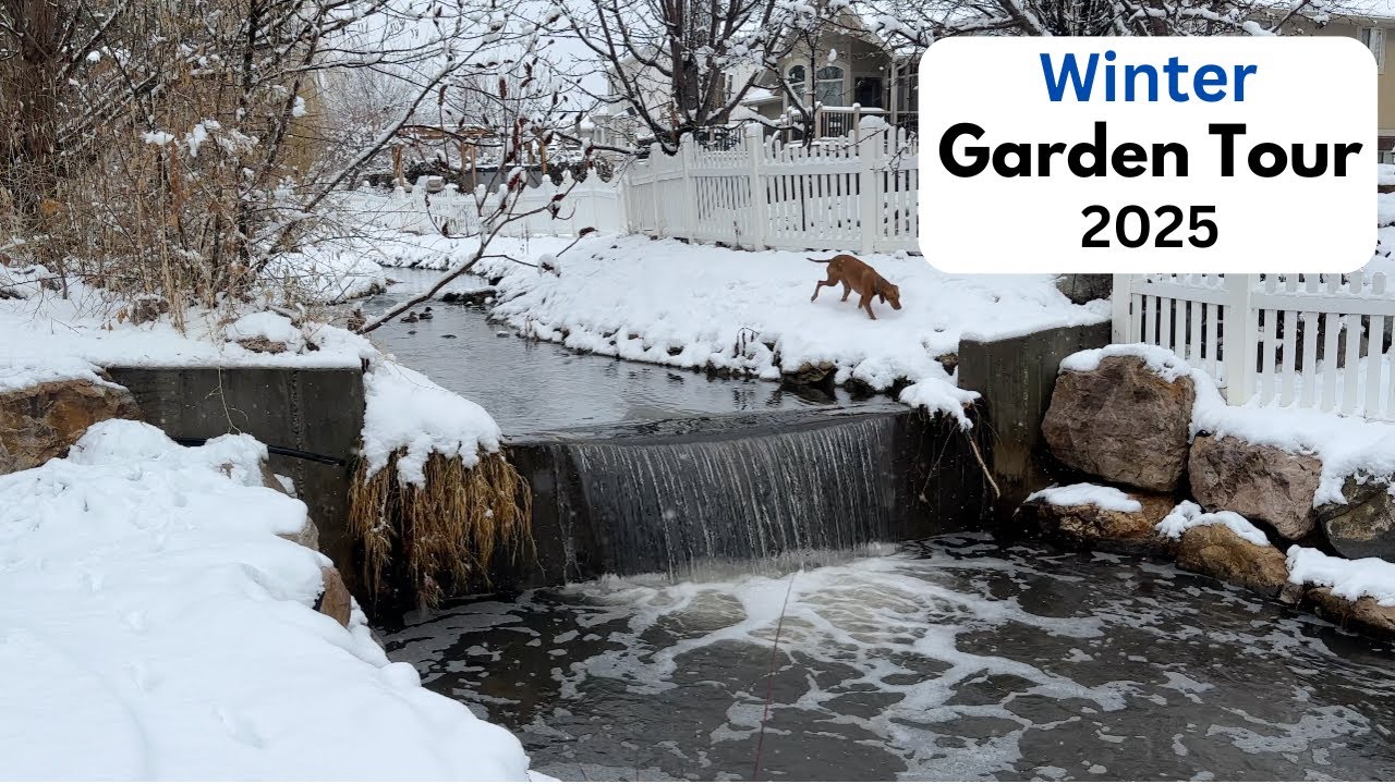 Winter Garden Tour- 2025!