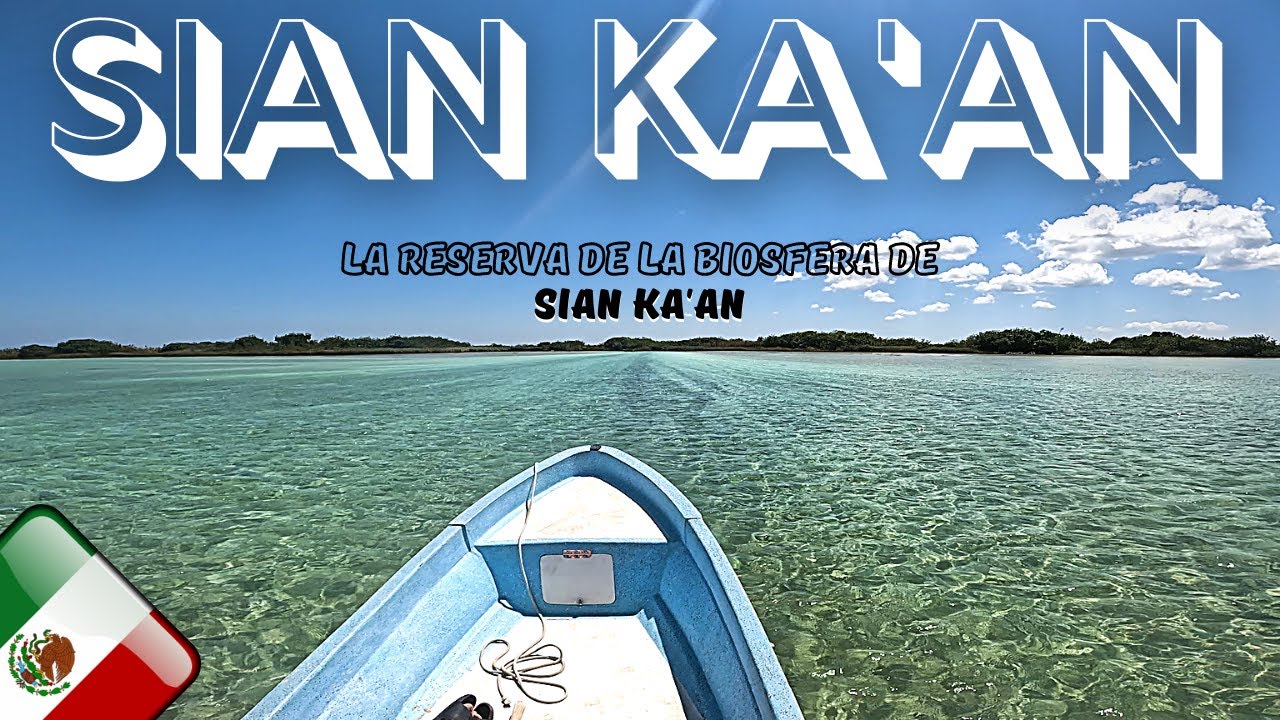 TULUM: Je vais voir les crocodiles et lamantins de la réserve naturelle de Sian Ka'an