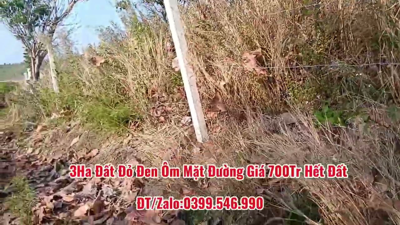 3 Ha Đất Đỏ Đen Ôm Mặt Đường, Đường Xe Thuận Tiện 