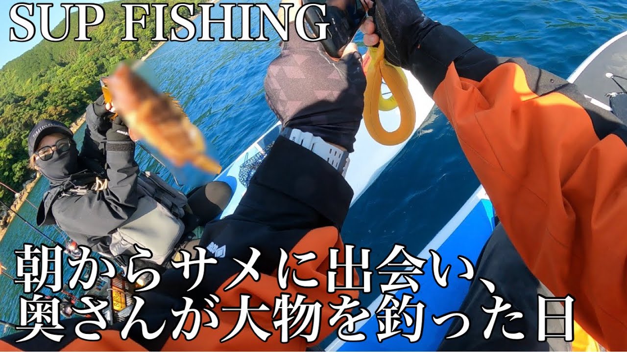 【SUPフィッシング】早朝にサメに出会い、根魚狙いにシフトチェンジしたら、奥さんが大物釣り上げましたっ。【サップフィッシング】【カヤックフィッシング】【サメ】【ジギング】【SLJ】