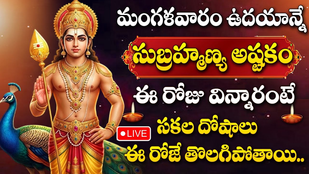 LIVE : TUESDAY SPECIAL - LORD SUBRAMANYA SWAMY DEVOTIONAL SONGS TELUGU | BHAKTI SONGS
