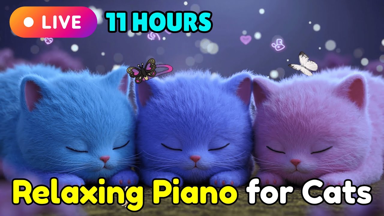 Piano Music for Cats for Emotional Comfort and Relaxation with Soft Nighttime Piano Sounds