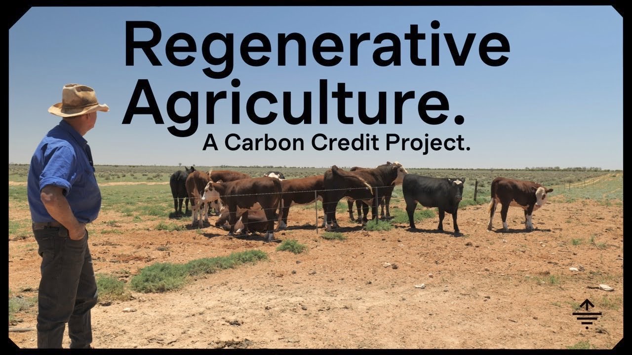 How to register a successful carbon credit project | Case Study | Ep 3