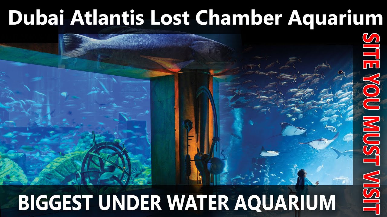 4k | Dubai Atlantis Lost Chamber Aquarium | Biggest Aquarium in the world | Dubai Tourist Attraction