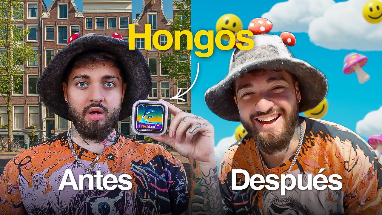 PROB&Eacute; HONGOS ALUCIN&Oacute;GENOS en &Aacute;MSTERDAM (&iquest;que se siente?)