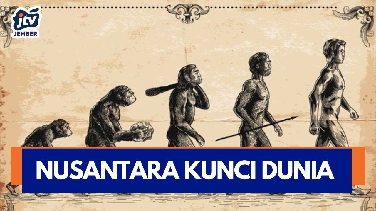 [LIVE] 1,8 Juta Tahun Lalu: Indonesia Jadi Kunci Evolusi Manusia Dunia