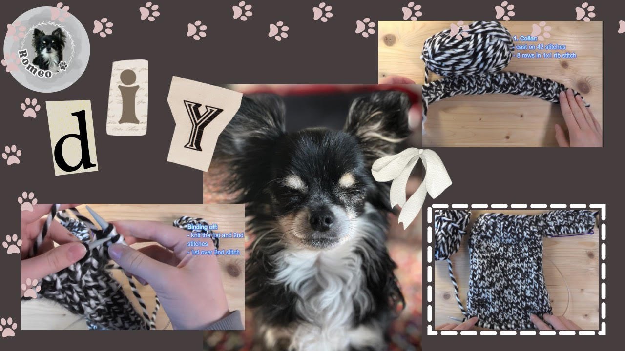 Wie man einen Pullover für einen Chihuahua strickt - Einfaches DIY-Tutorial