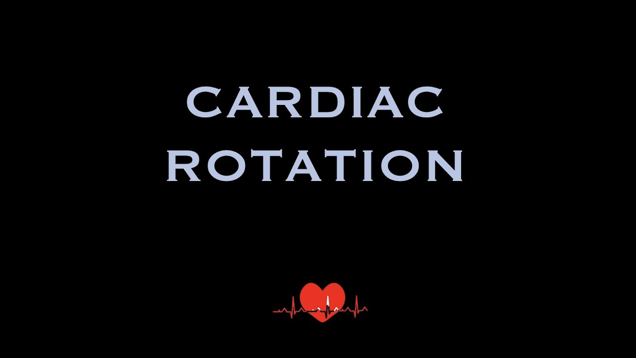 ECG: Cardiac Rotation (With examples)