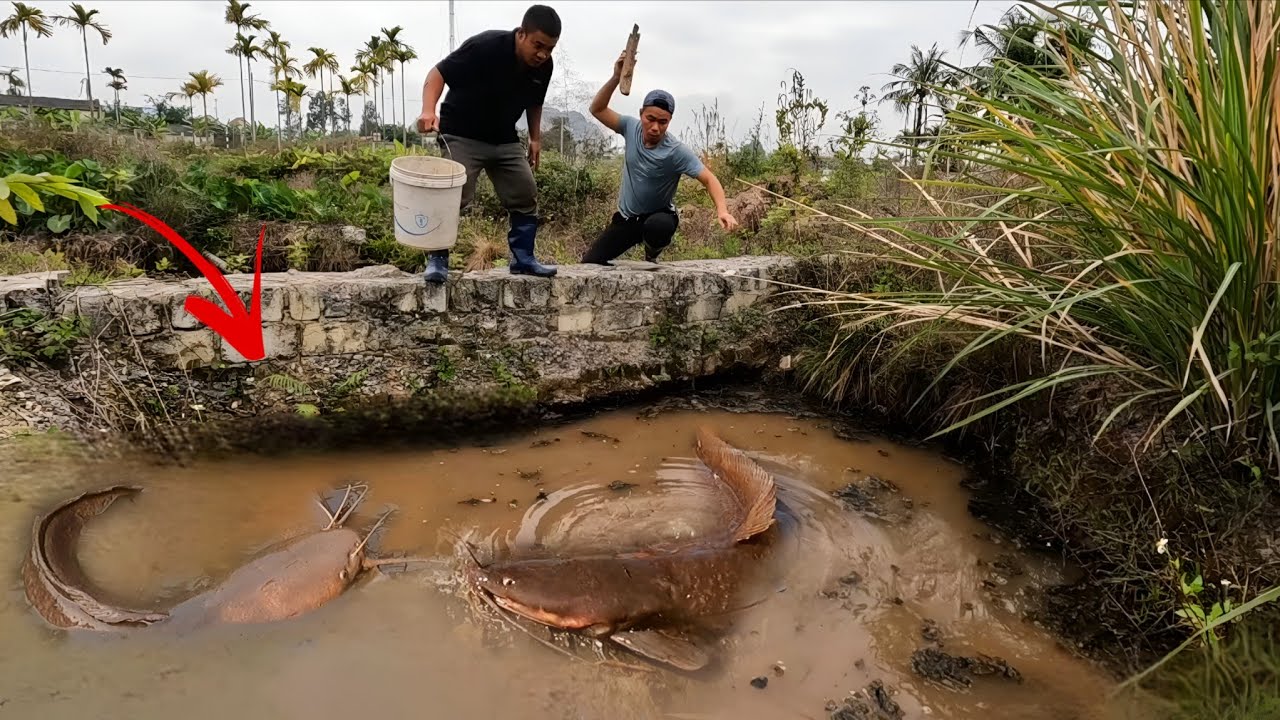 Крики двух мальчиков, на которых напала гигантская рыба