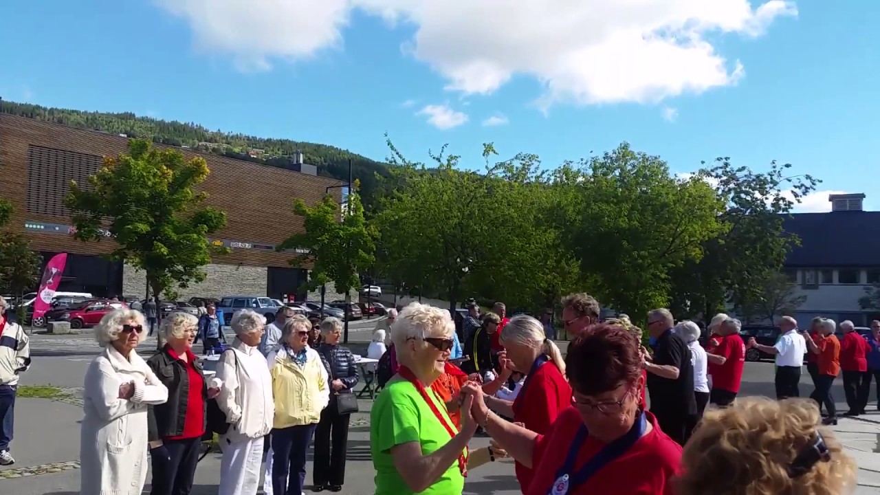 Seniordans Fagernes