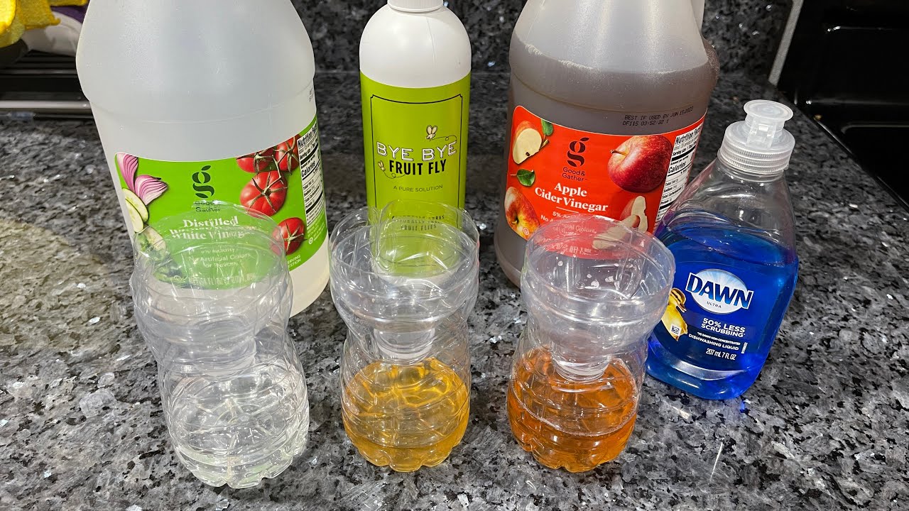 Best Fruit Fly Trap Using What You Already Have!
