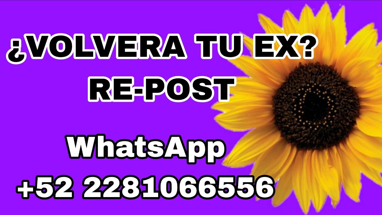 Volverá tu ex? 🤔
