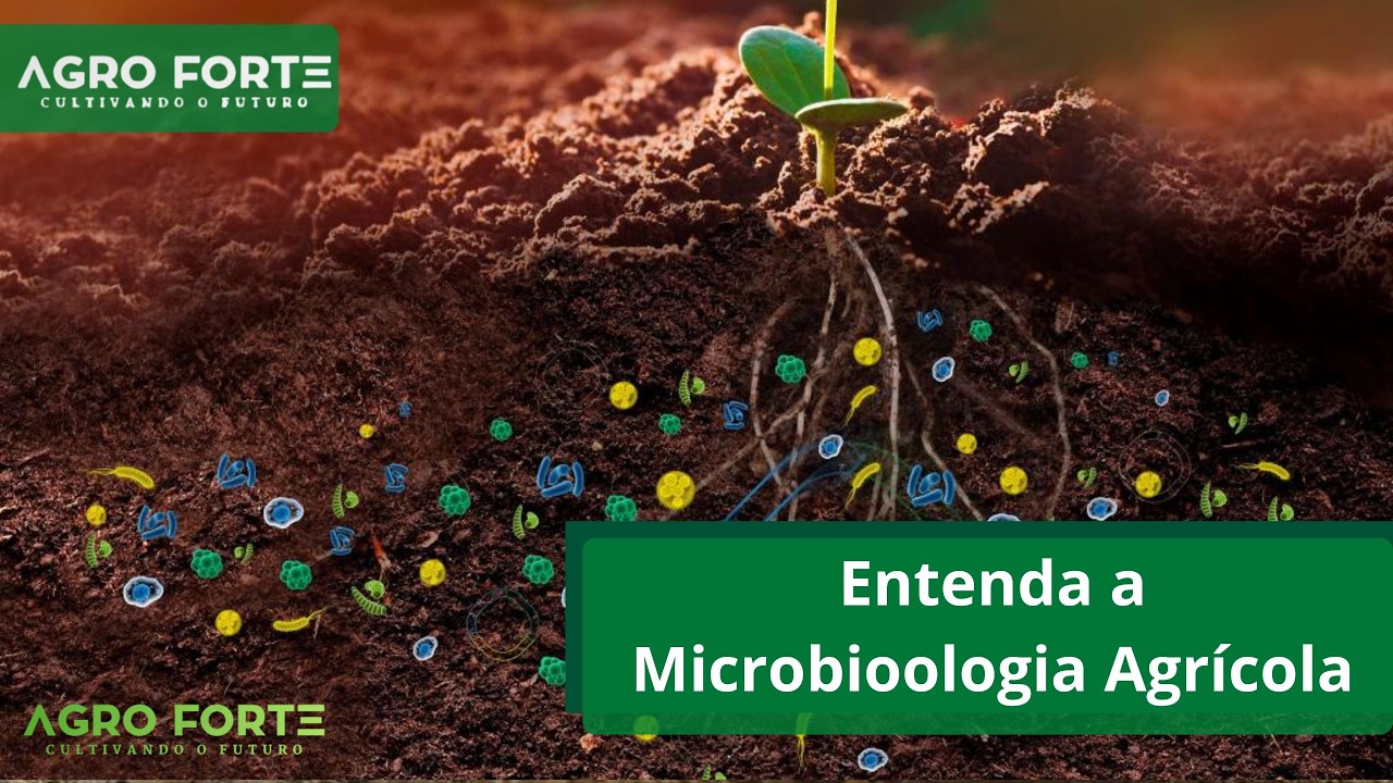 Entenda a Microbioologia Agrícola