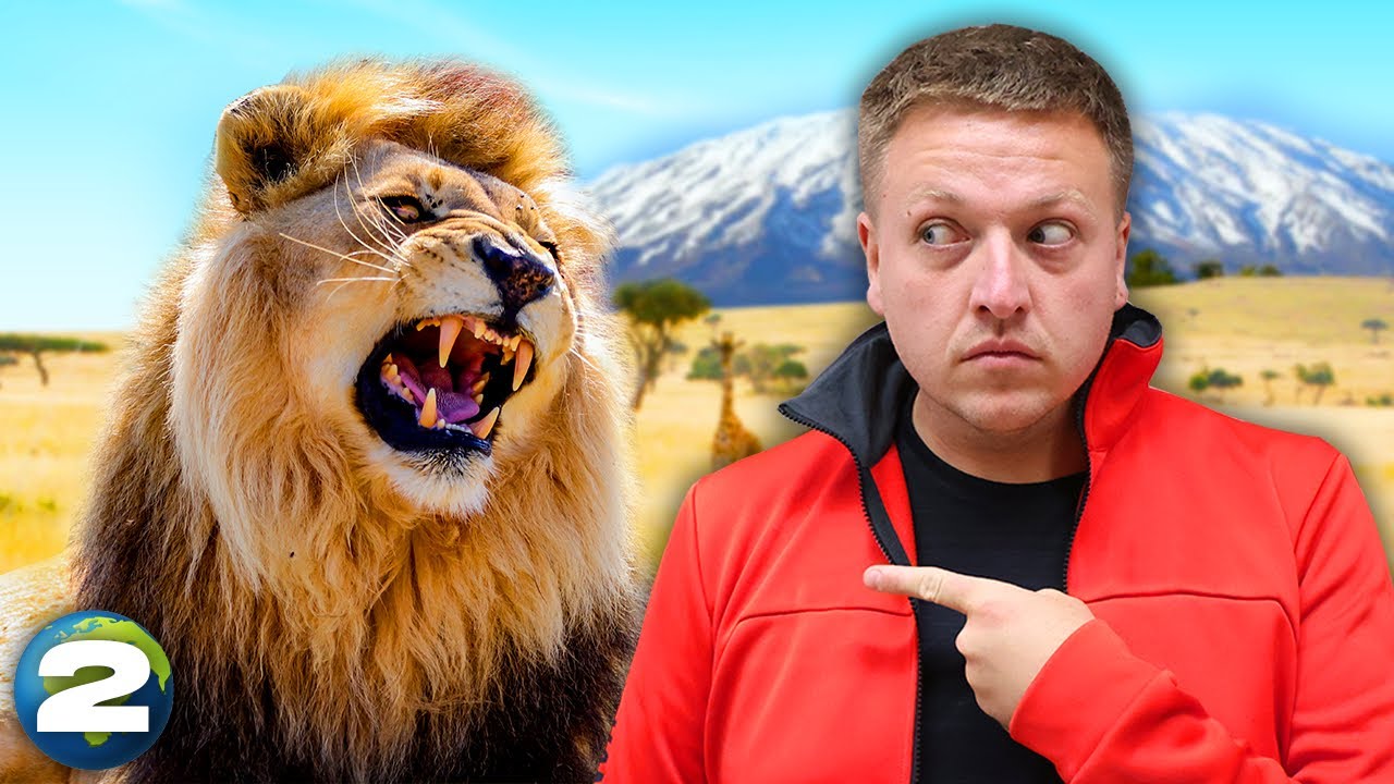7 Continents In 7 Days - Africa (Day 2)