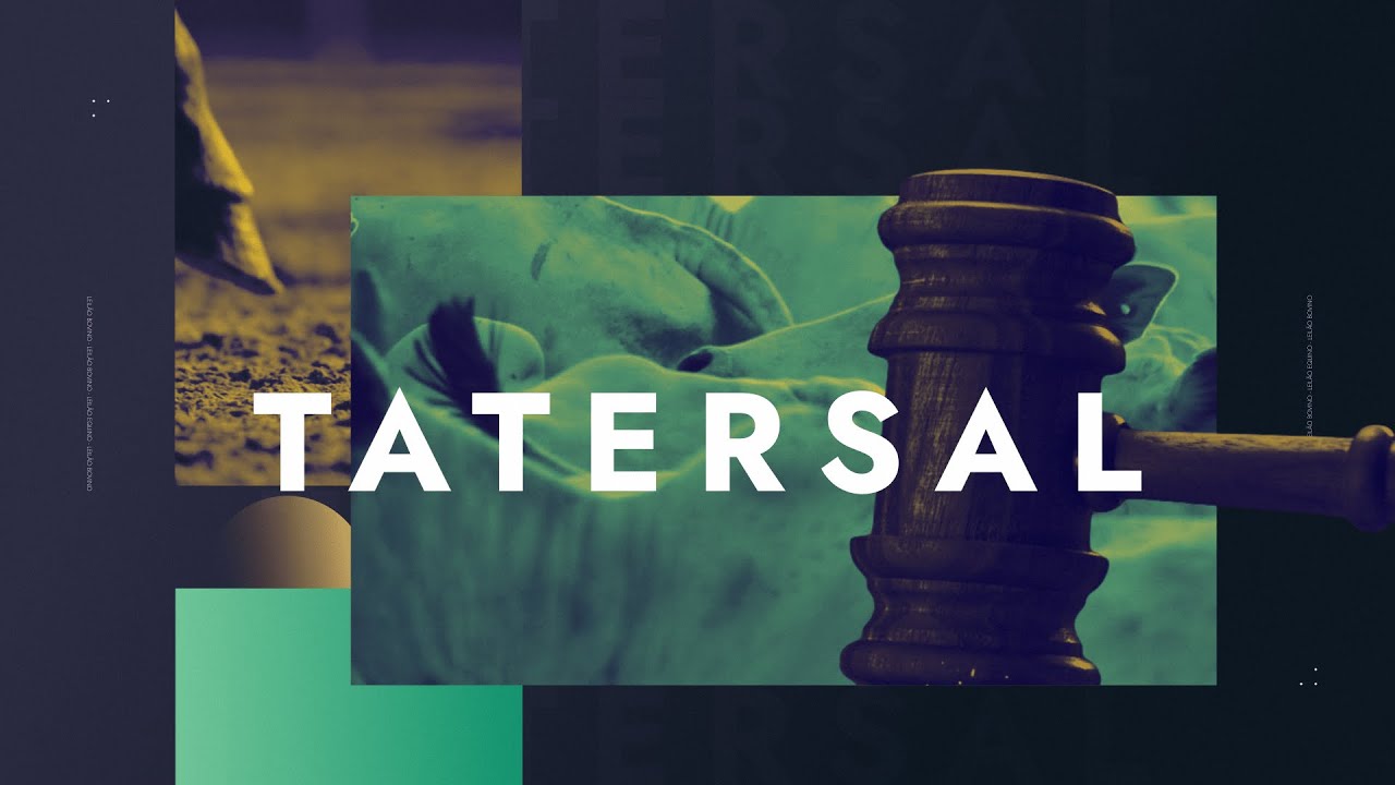 [AO VIVO] - TATERSAL - 19/03/2026